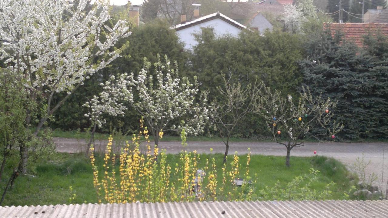 Restaurant Pension Lubusch Gahro Екстериор снимка